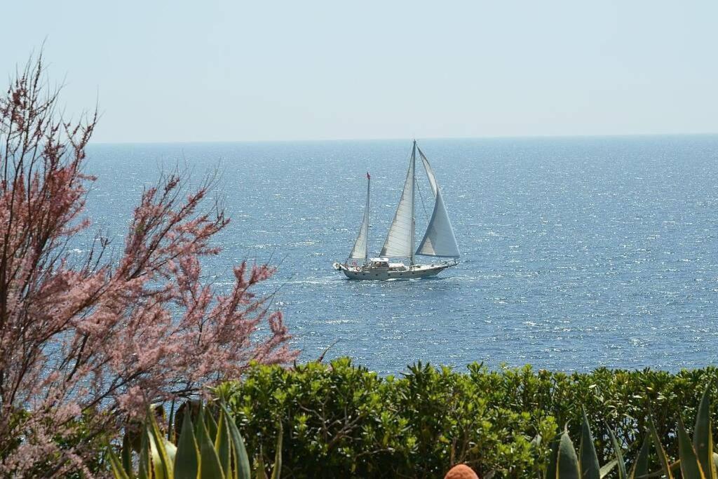 Villa Vallgornera Пальма-де-Майорка Экстерьер фото